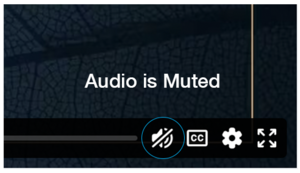 Audio is muted
