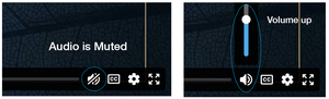 Livestream audio controls
